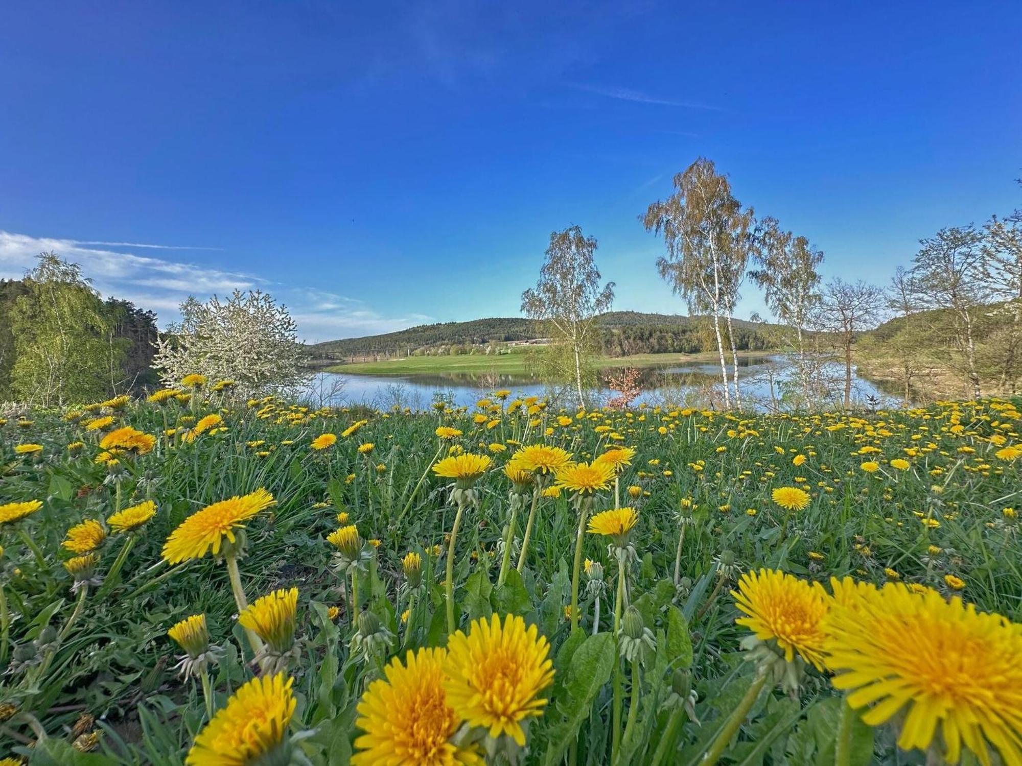 Feriendorf Seeblick - Tinyhouse Direkt Am See 네운부르그포름발트 외부 사진